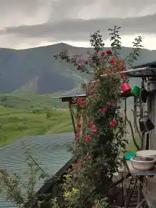 у тёти Ханий - 22