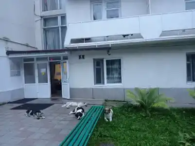 Долинск - 49