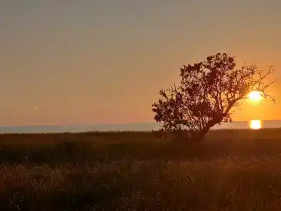 Солнышко - 47