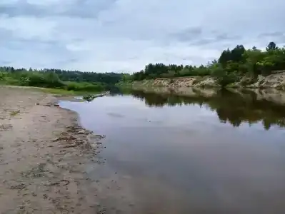 Сура - 48