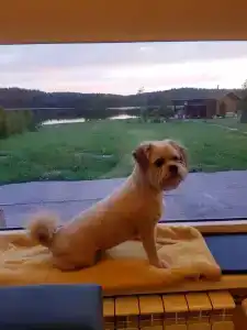 Семейный домик у озера - 39