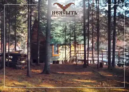 Неясыть - 13