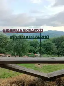 Экзархо - 42