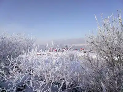 Rosta  by Fanoteli - 29