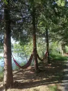 Полесье - 100