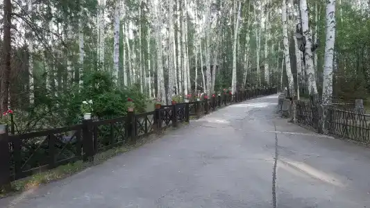 Солнечная поляна - 44