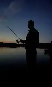 ГринЛандия - 86