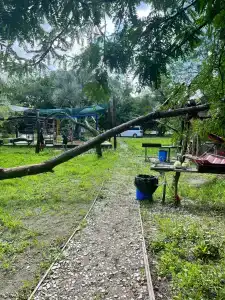 Сказочный лес - 43