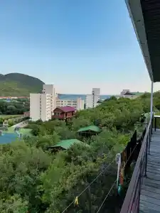 Гольфстрим - 46