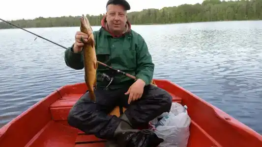 Сабо - 41