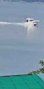 Райское гнездышко - 39