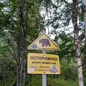 Приют Центральная усадьба - 79