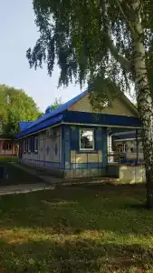 Чайка - 36