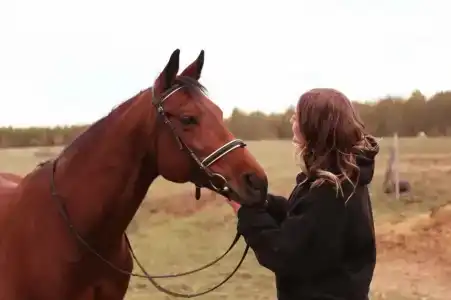 Бородино - 39