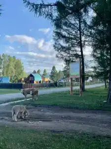 Мульта - 24