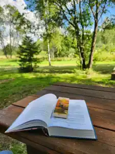 Емельяново - 14