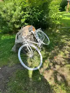 Феликс - 13