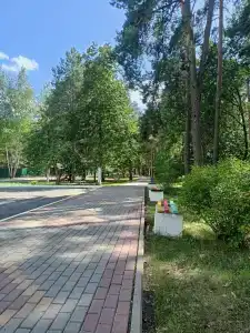 Пралеска - 16