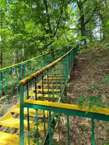 Кусторка - 4