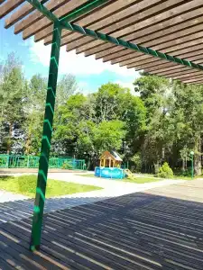 Кусторка - 46