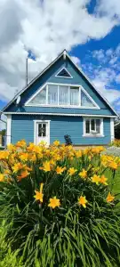 Петров Дом - 2