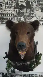 Медвежий угол - 1