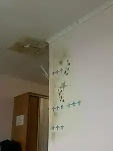 Жемчужный берег - 33