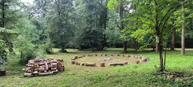 Сытый Кот - 3