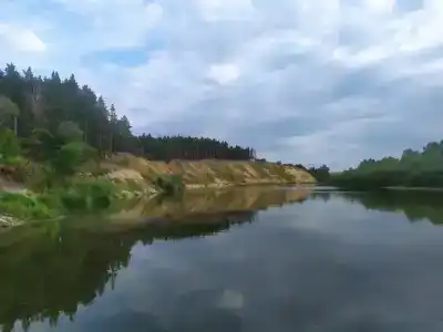 Чайка - 1