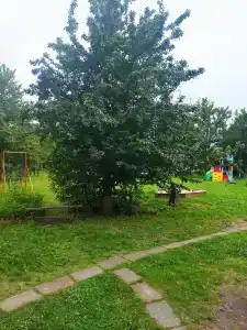 Волшебница - 22