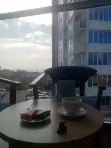 Альпийская - 24