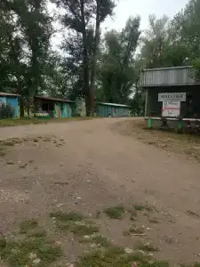 Тополя - 16