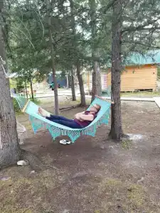 Forest camp - 9