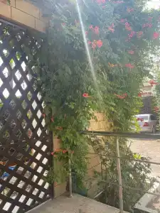 Гостиный двор - 67