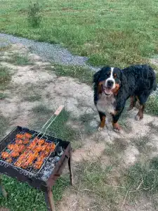 Форт Верный - 7