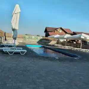 Гвоздика - 31