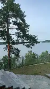 Рубин - 54