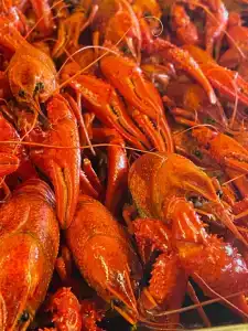 АзовХолидей - 36