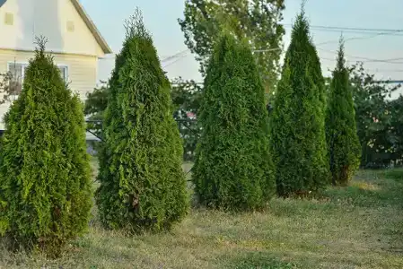 Хуторок рыбака - 8