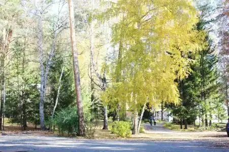 Гренада - 41