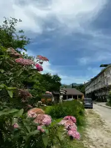 Клевер - 3