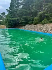 Можжевеловая роща - 3