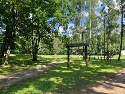 Беловежская пуща. №2 - 7