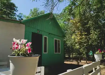 Кемпинг Вистерия - 4
