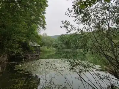 Родное - 90