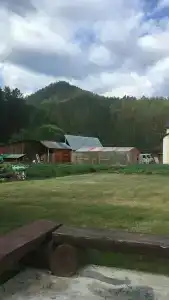 Усадьба Зыряновых - 29