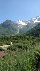 РусАрс - 55