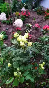 Вилла Гармония - 46