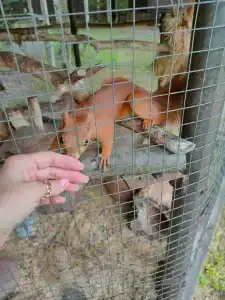 Южный Парк - 26