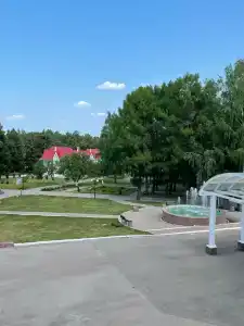 Волга - 26